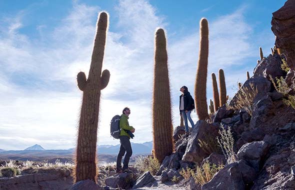 descrição da imagem