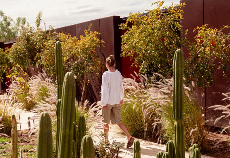 TAT-Lodge-News-Independent