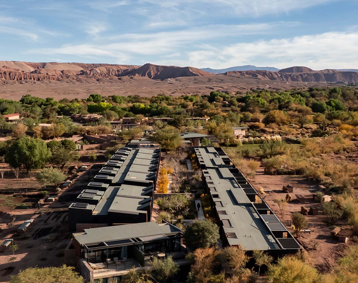 Deidade do deserto_Direita