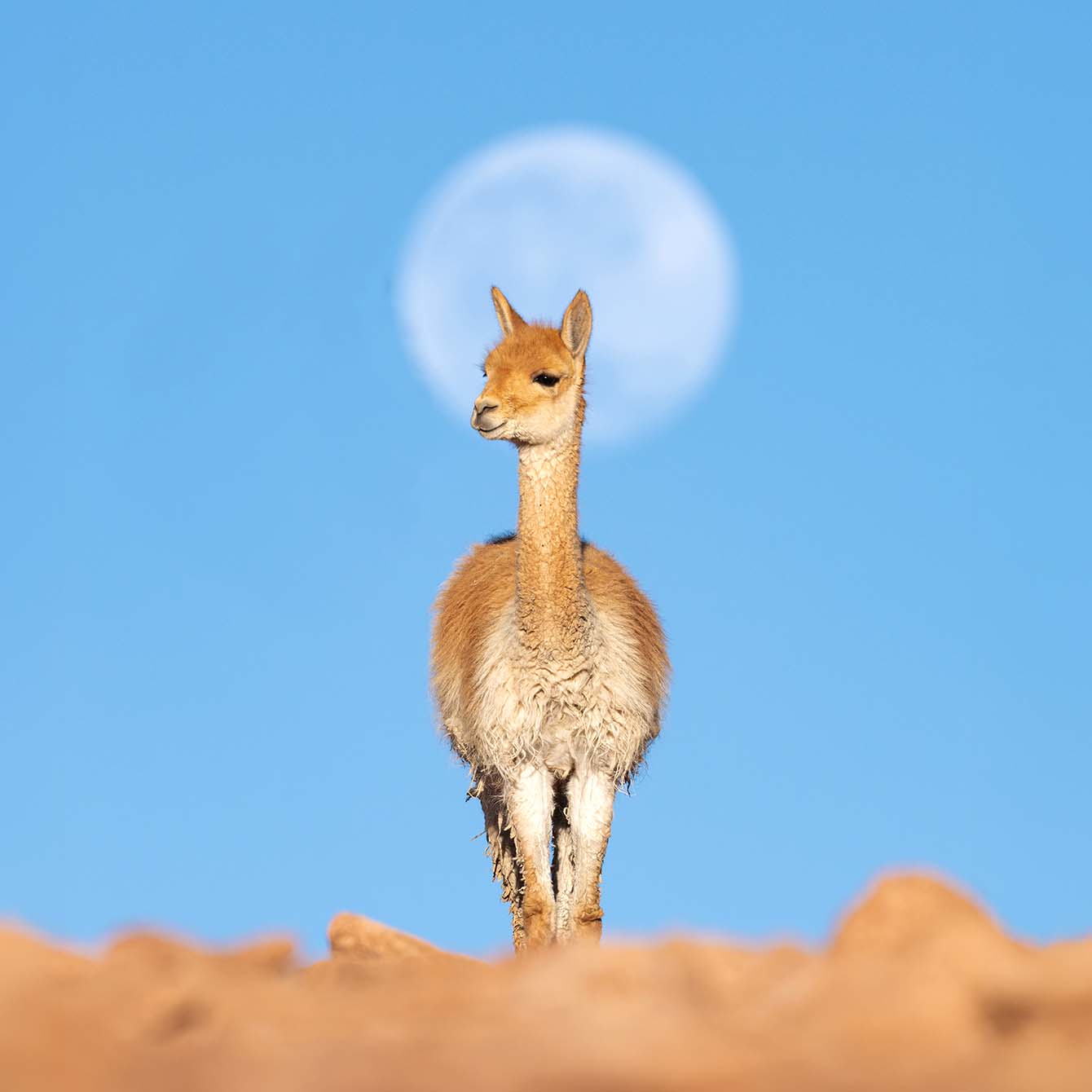 Nossa visão_Direita