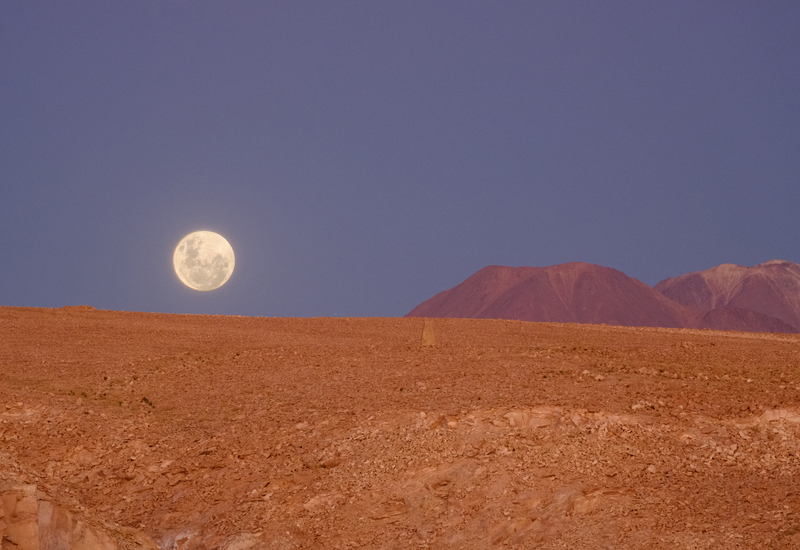Mark Johansen for Qantas