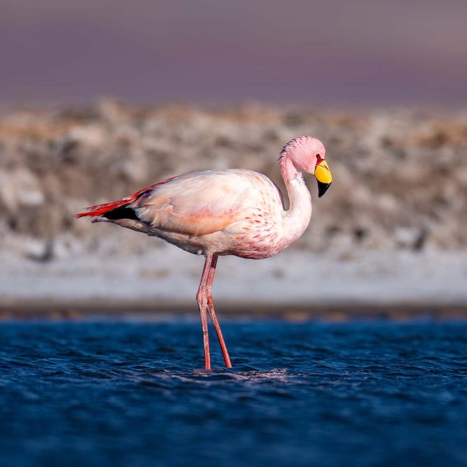Outra esquerda mundana