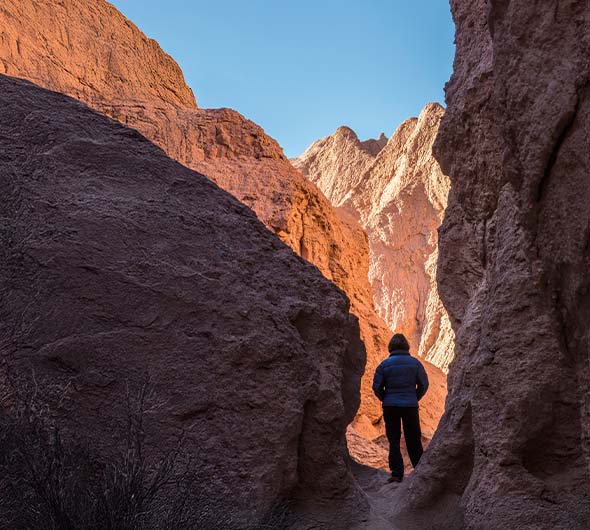 descrição da imagem