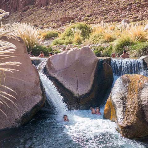 Intereses especiales<br/>