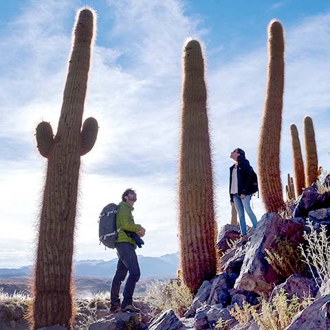 Senderismo <br/>Expediciones